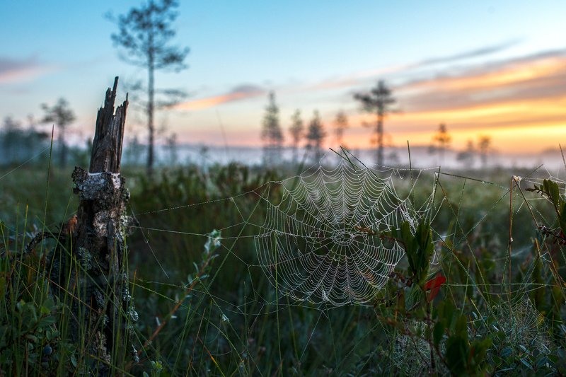 На рассветеphoto preview