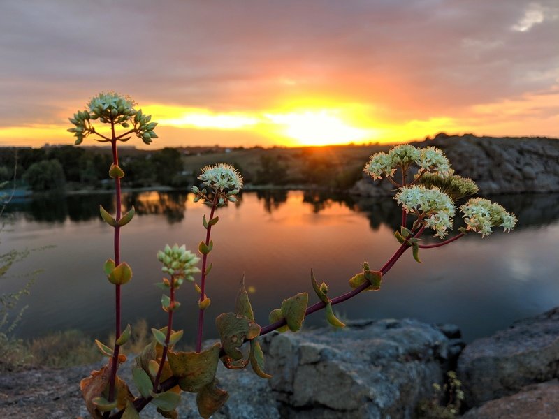 закат,лето,пейзаж,краски,зелень,солнце,небо,река,рекаднепр,landscape,сюжет,природа,nature,sky,облака,вода,отдых,красота, ***photo preview