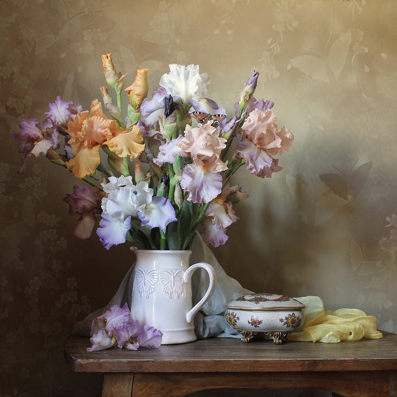 Бабочки фото превью