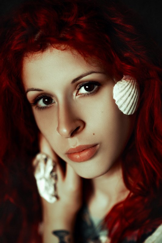 shells A call from the Seaphoto preview