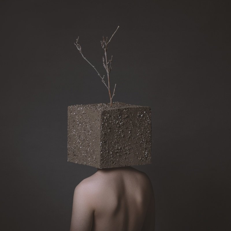 The Humanphoto preview