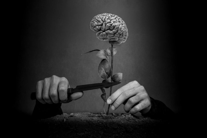 Kill growthphoto preview