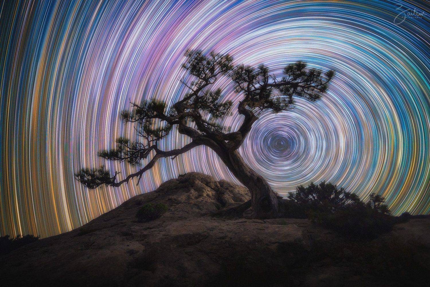 Звездные следы над пиком Космос. Автор: Женя Зайцев звездные следы, ночь, астрофотография, долгая выдержка, крым, космос, караул-оба, новый свет, сосна, дерево, startrails, night, long exposure, pine, crimea, Женя Зайцев