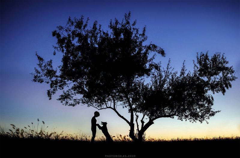 анималистика, портрет, пейзаж, силуэт   Le Petit Princephoto preview