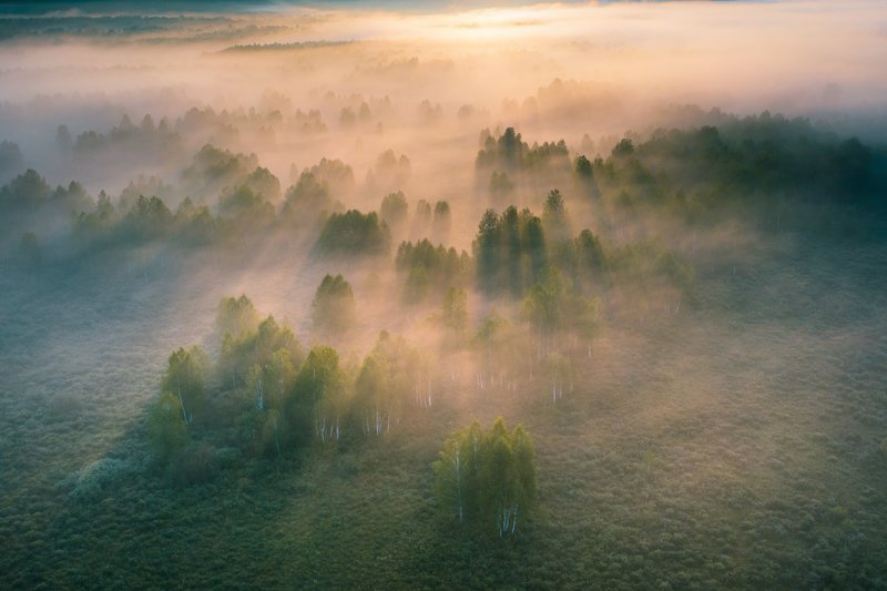 алтайскийкрай, алтай, тигирекскийзаповедник, туман Проявка туманаphoto preview