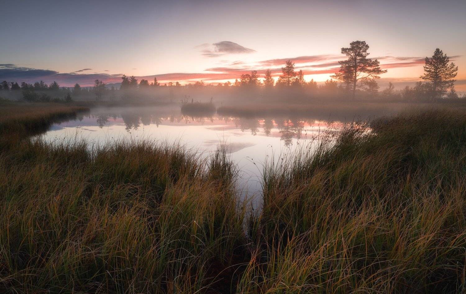 Автор: Виталий Истомин пейзаж,рассвет,туман,озеро,апатиты,мурманская область,лес, Виталий Истомин