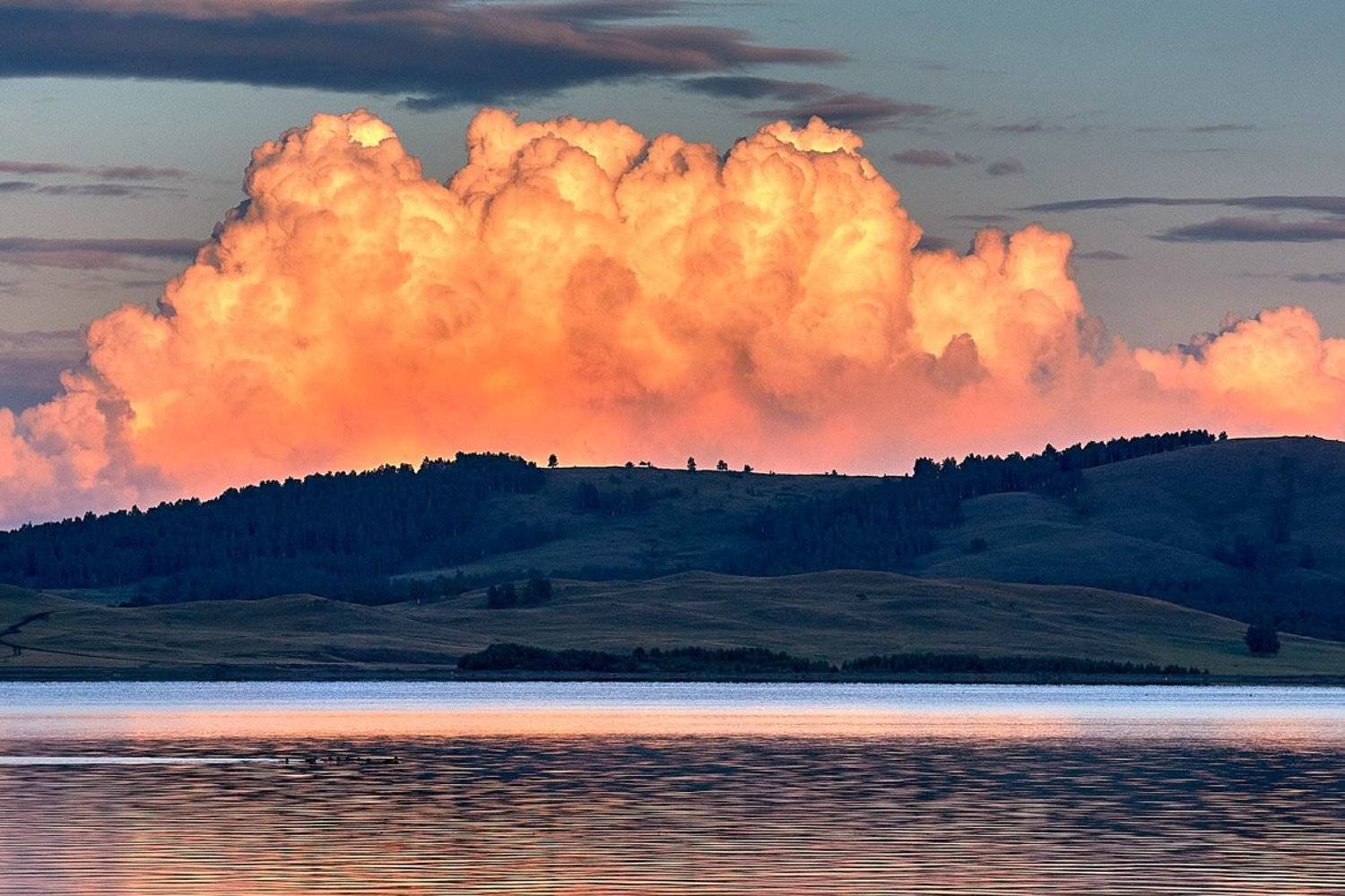 Нашествие. Автор: Качурин Алексей южный урал,оренбургская область, орск, новотроицк,башкирия, башкертостан, Качурин Алексей