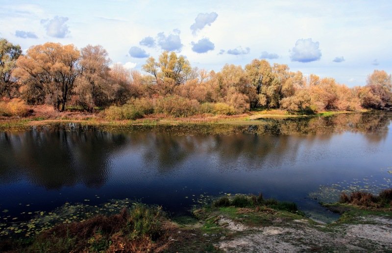 пироговка река лес осень Осенняя рекаphoto preview