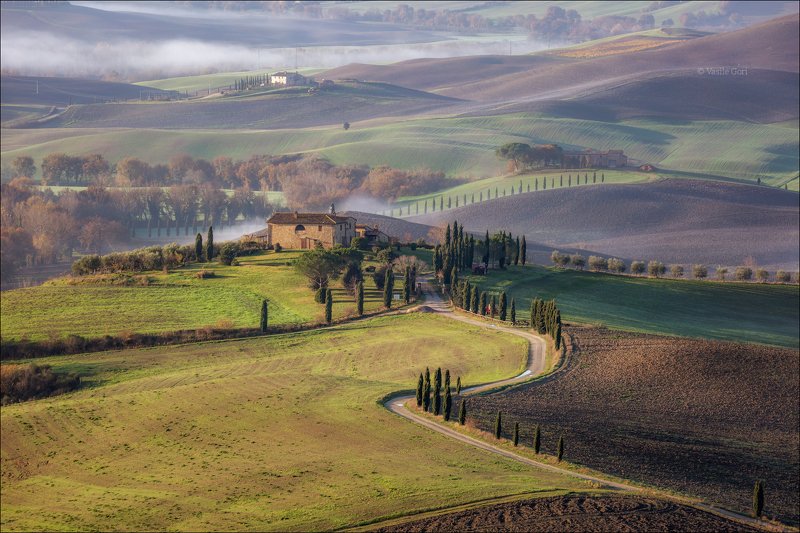 italy,pienza,italia,дымка,италия,тоскана,кипарис,toscana,осень,tuscany,cipressi,belvedere Классика Тосканыphoto preview