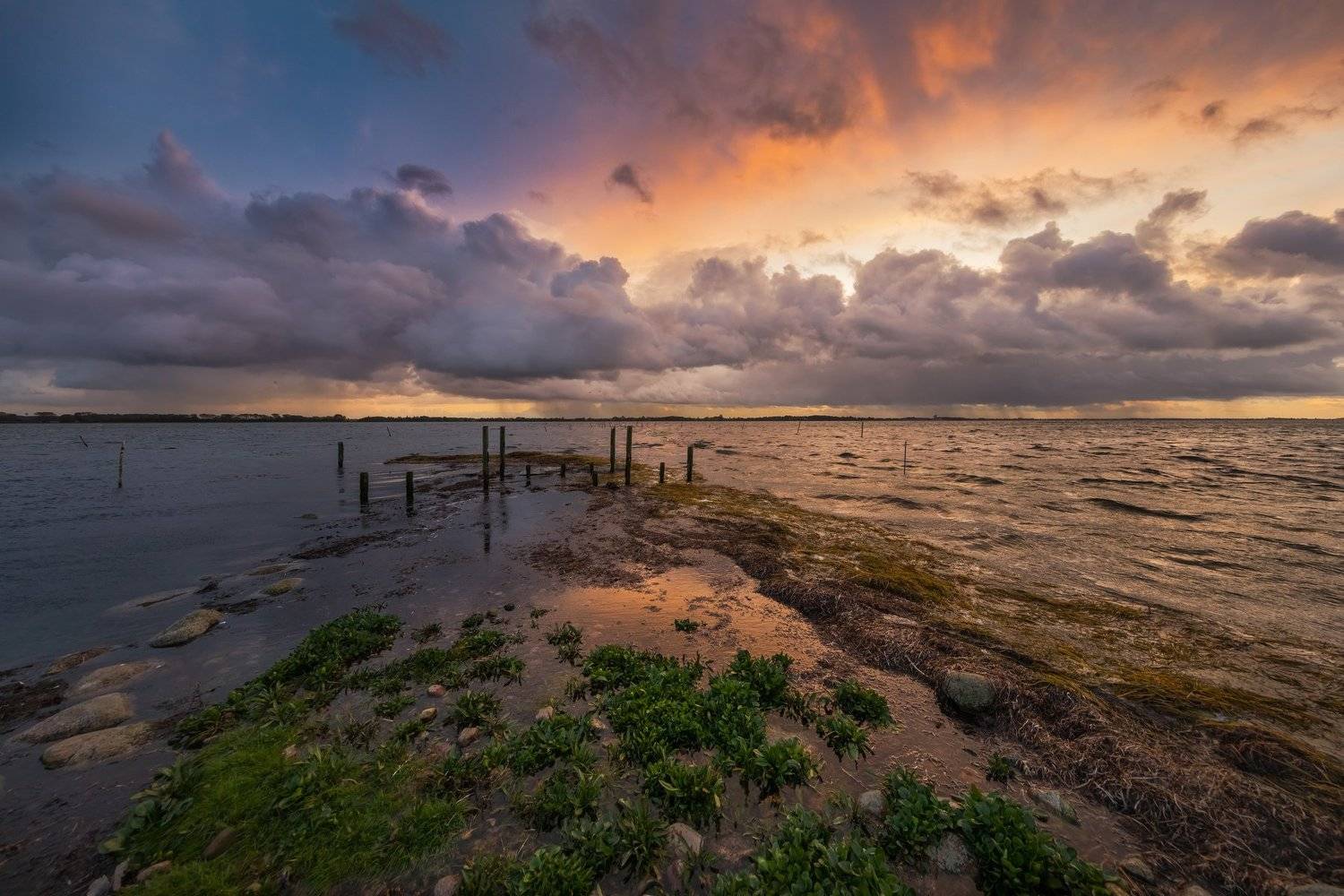 ДОЖДЕВАЯ ТУЧА НА ЗАКАТЕ. Автор: Марат Макс. дания, туча, море, берег, закат,, Марат Макс.