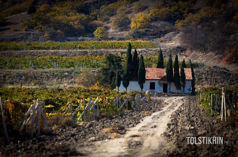 домикphoto preview