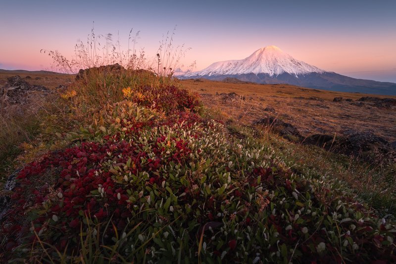 камчатка,закат,вечер,толбачик,тундра Предосенняя Камчатка...photo preview