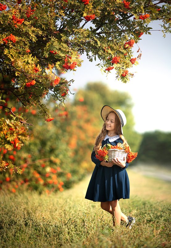 девочка, детский портрет, топ фотограф, детский фотограф, семейный фотограф, детская фотография, детский портрет, портрет, портретный фотограф, известный фотограф, фотограф валерия мороз, сказочная ретушь, волшебный свет, волшебная обработка, обучение фот Портрет с рябинойphoto preview