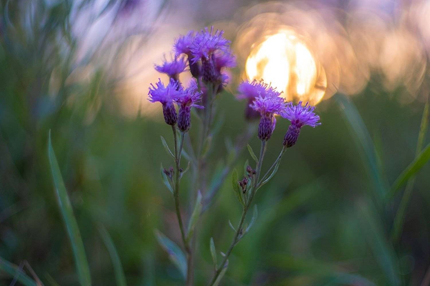 , Сергей Брагин