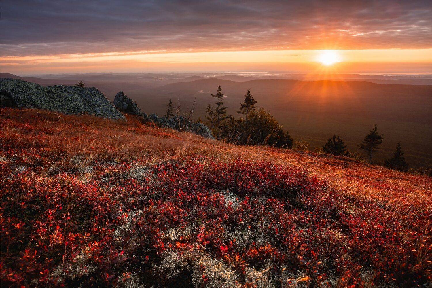 , Алексей Козаченко