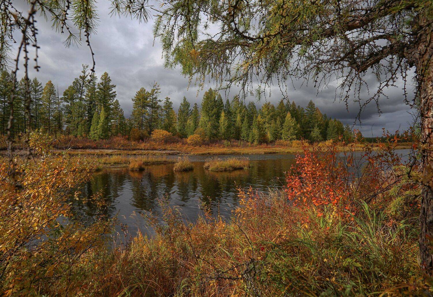 нерюнгри, осень, якутия, река_горбыллах, осень_в_якутии, осенний_пейзаж, Евгения Левина