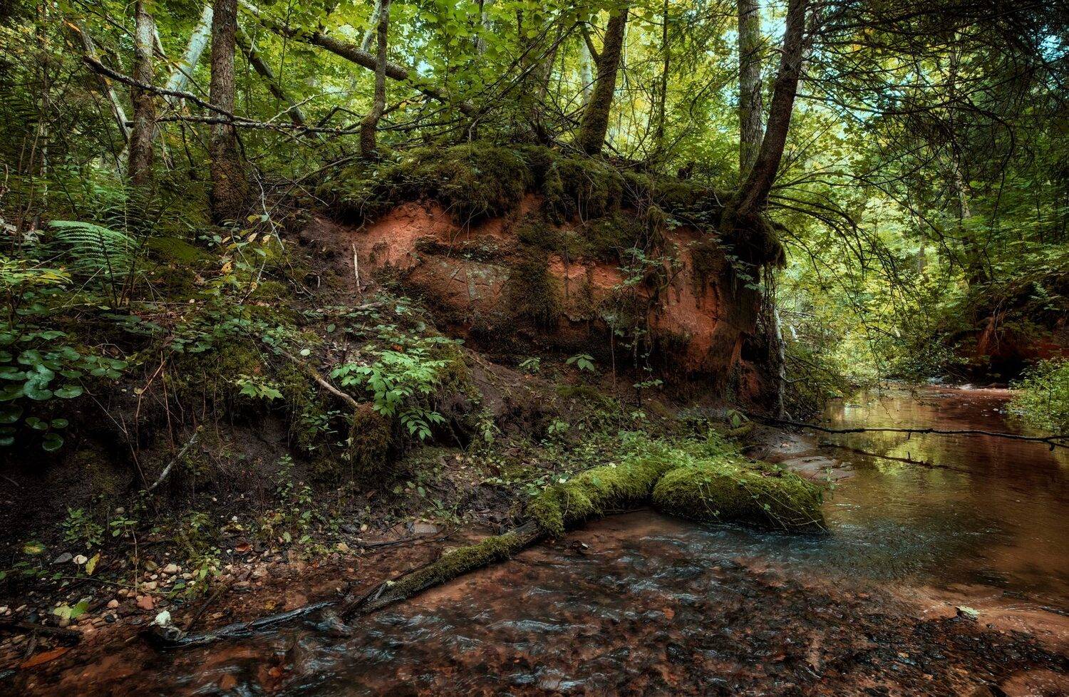 ***. Автор: Edgars Gerskovics , Edgars Gerskovics