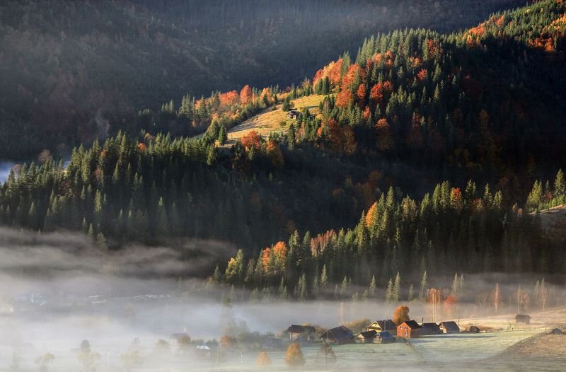 Утро а Карпатахphoto preview