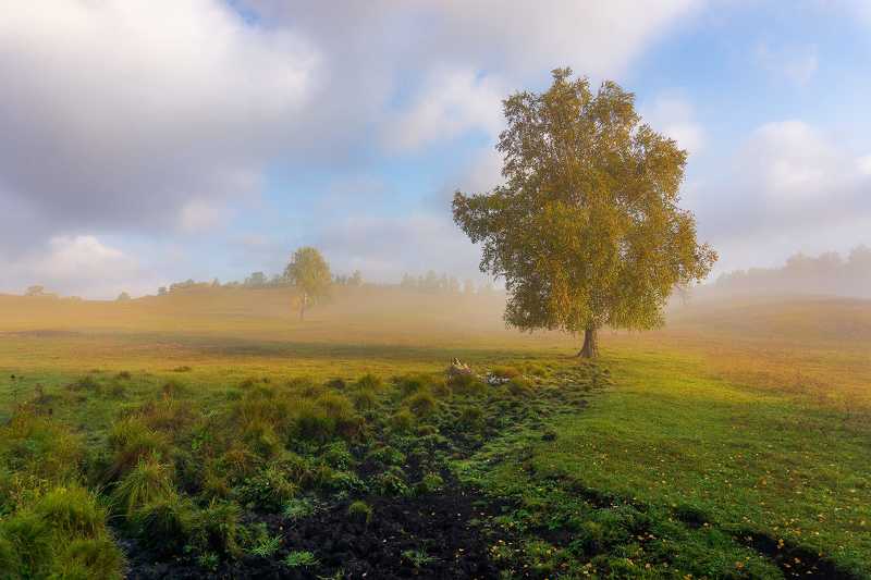 утро, рассвет, восход, туман, лучи Осенние зарисовкиphoto preview
