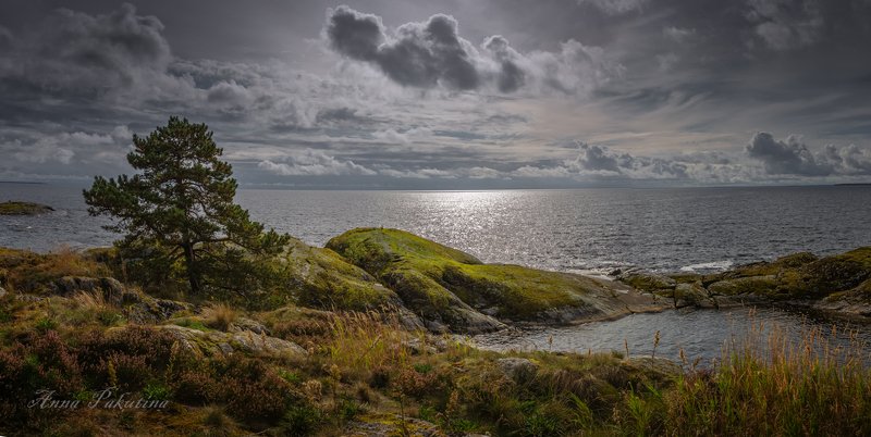 Северная красота Ладогиphoto preview