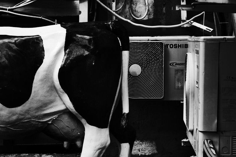 Московский двор.photo preview