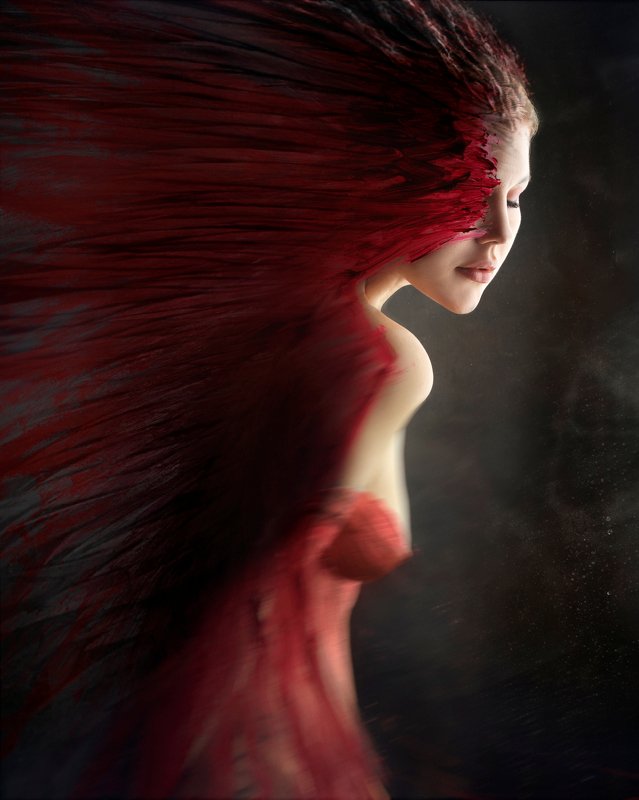 Single Part of Twophoto preview