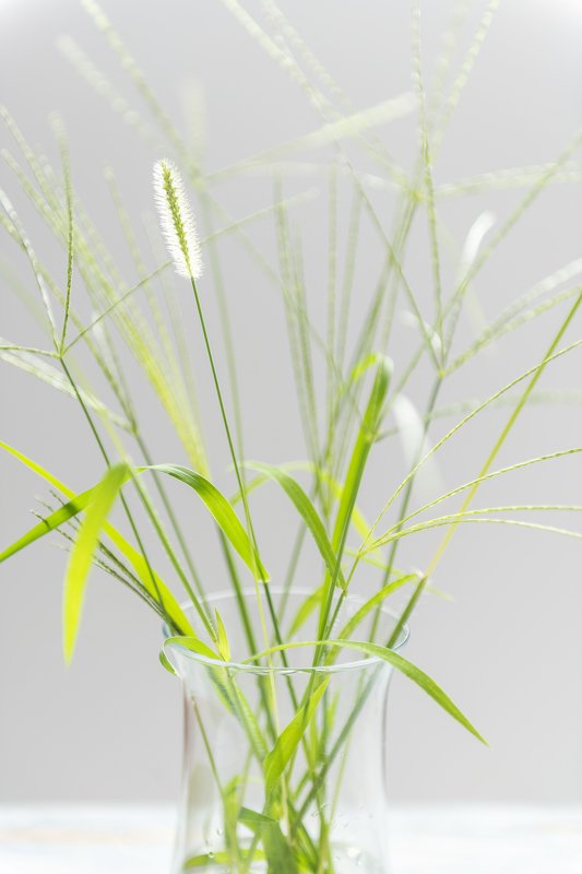 istanbul beautiful lightingphoto preview