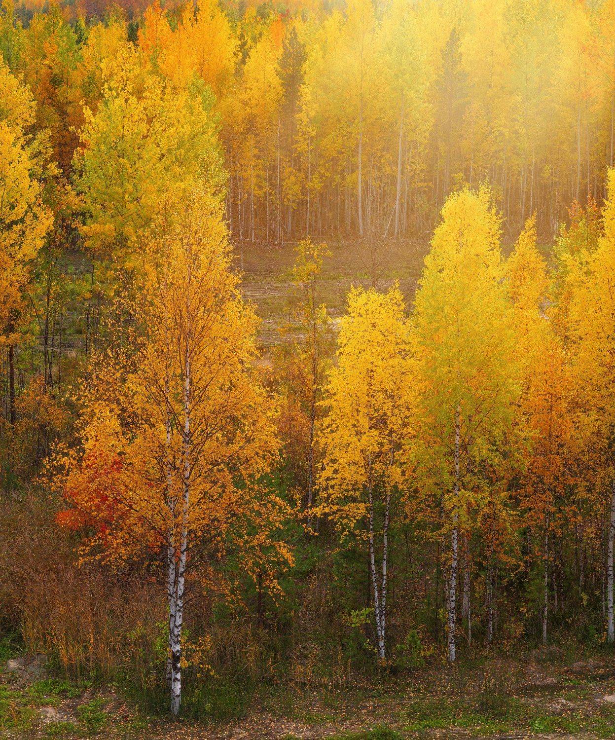 осенняя. Автор: Andrey Raspopov , Andrey Raspopov