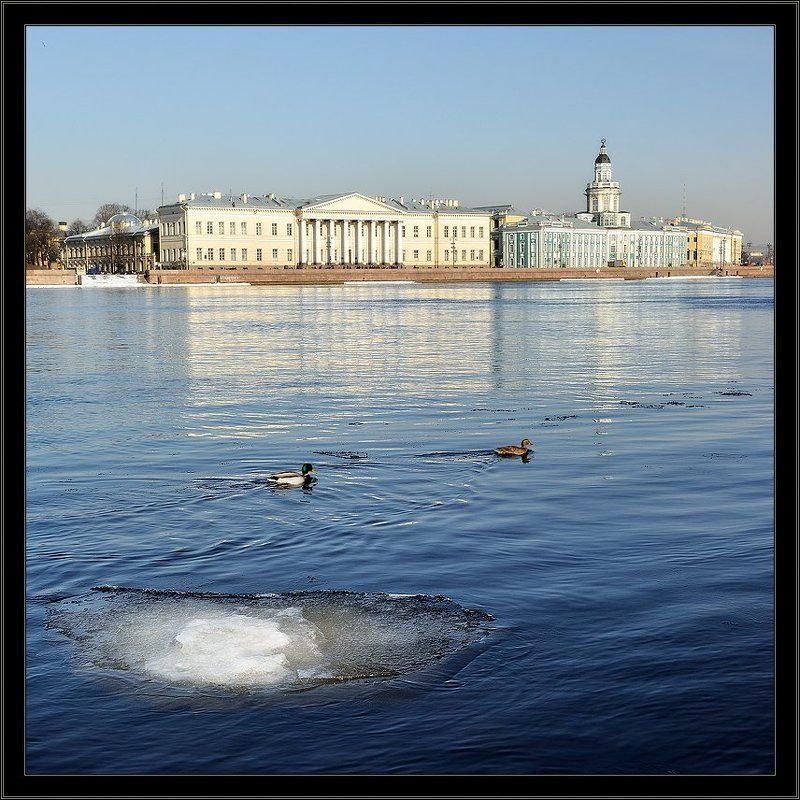 петербург, центр, нева, весна, квадрат Цветная нарядная весенняя питерская квадратная картинка с Невыphoto preview