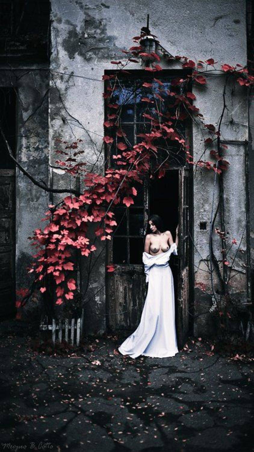 mecuro b cotto, cotto, mecuro, nu, nude, art-nu, art-nude,, Mecuro B Cotto