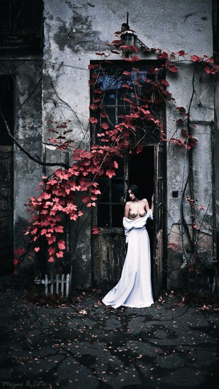 mecuro b cotto, cotto, mecuro, nu, nude, art-nu, art-nude, **photo preview