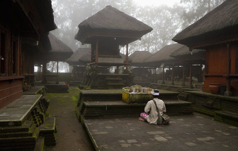 туман Дом Тишиныphoto preview