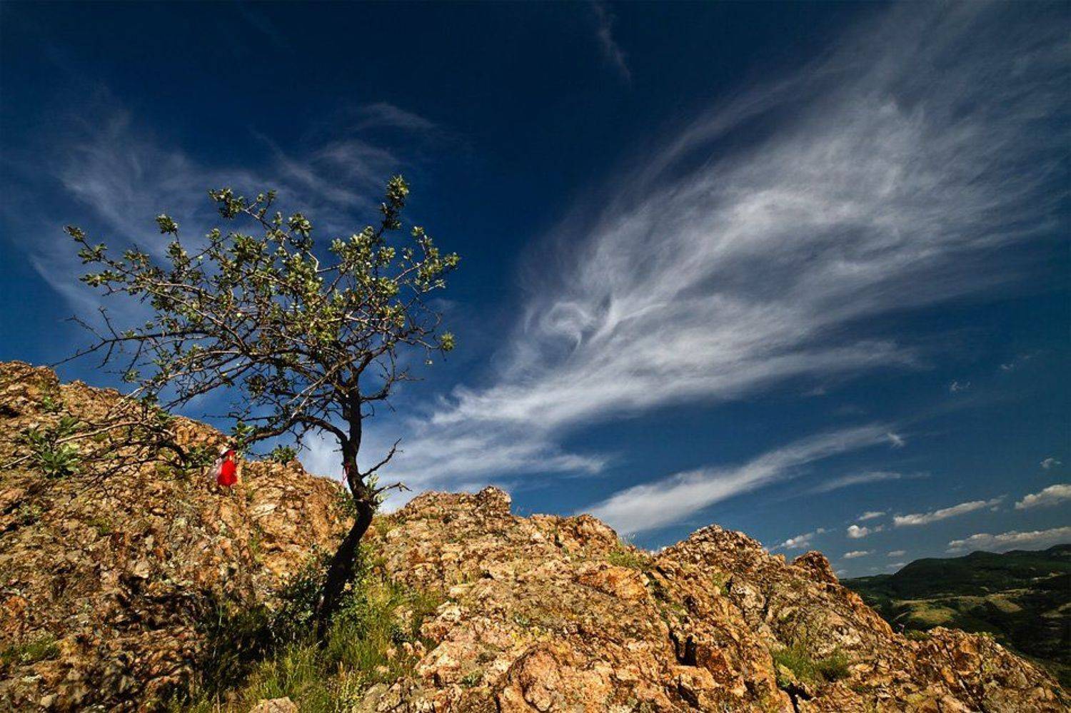Автор: Светозар Кръстев , Светозар Кръстев