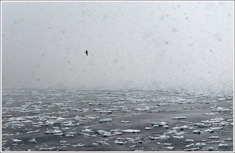 Тихий океанphoto preview