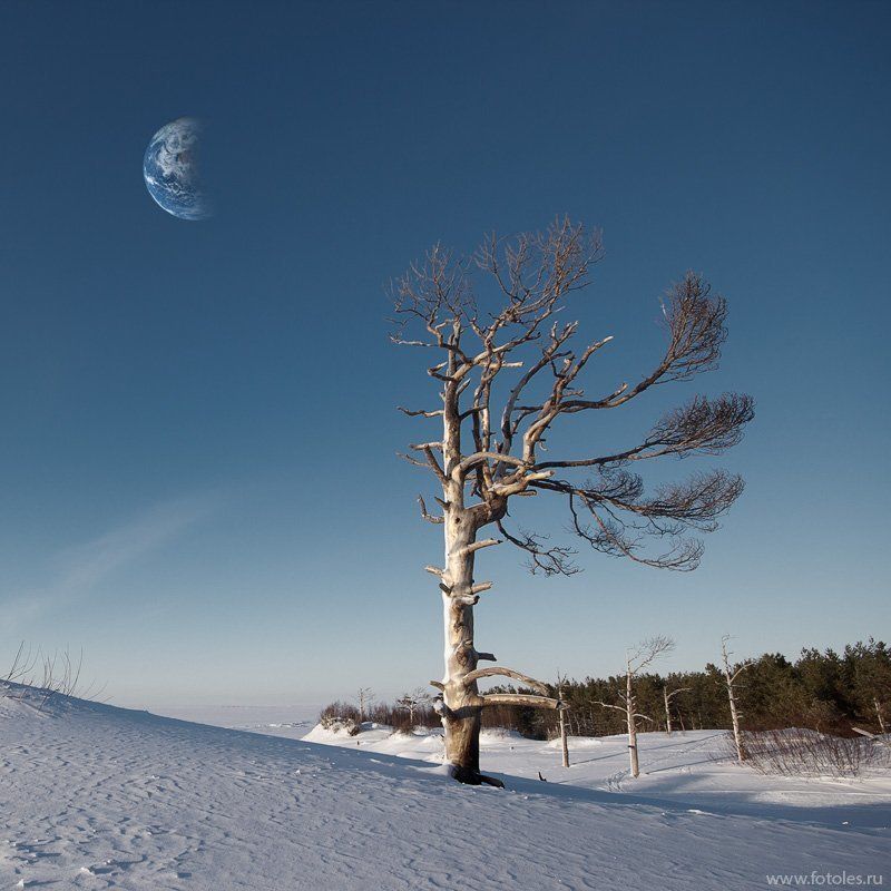 белое, море, север Меланхолияphoto preview