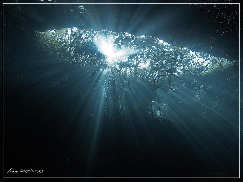 сенота, мексиа, подводная пещера Юкатан, Сенотыphoto preview