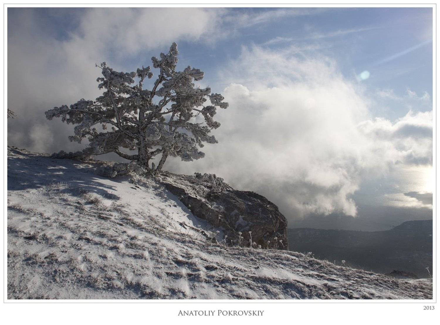 Заоблачность морской дали сосновых вершин. Автор: Анатолий Покровский крым, горы, море, сосна, облака, снег, анатолий покровский, Анатолий Покровский