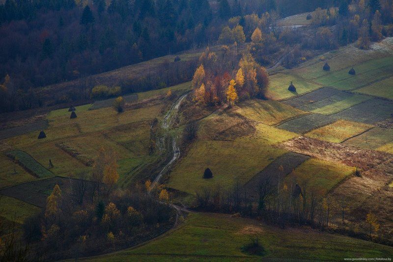 Вверхphoto preview