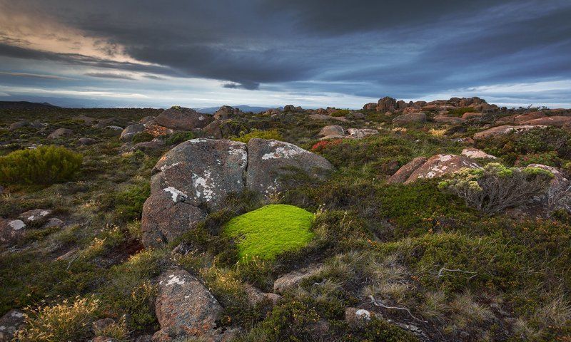 Веллингтонские просторы.photo preview