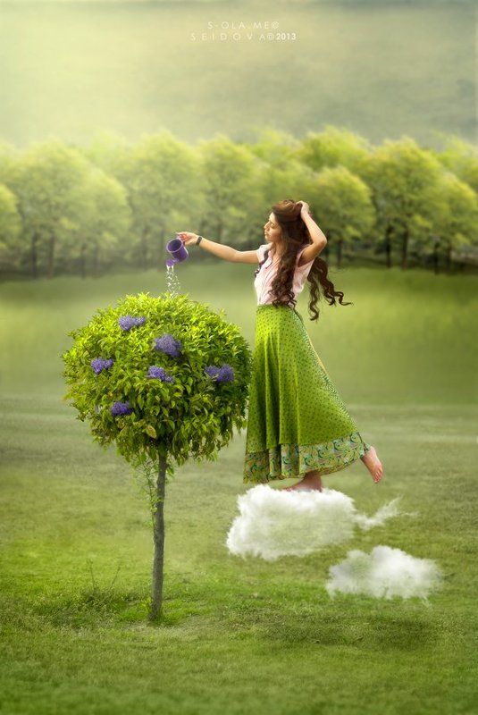 Gardenerphoto preview