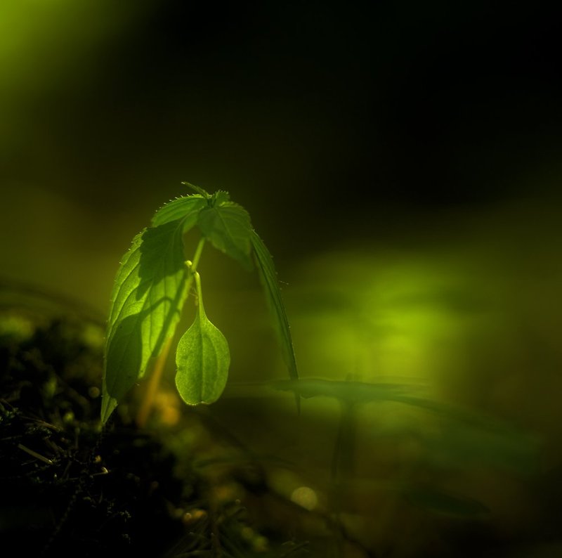 Усталость...photo preview