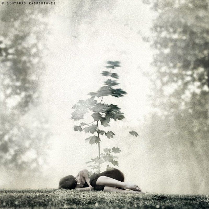 art, arts, artistic, fine, photography, foto, photo, modern, conceptual, feeling, emotion, square, 1x1, toned, gintaras, kasperionis, original, idea, gallery, pentax, contemporary, artwork, mono, woman, girl, sleeping, tree Gravityphoto preview