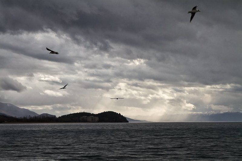 Охридского озераphoto preview