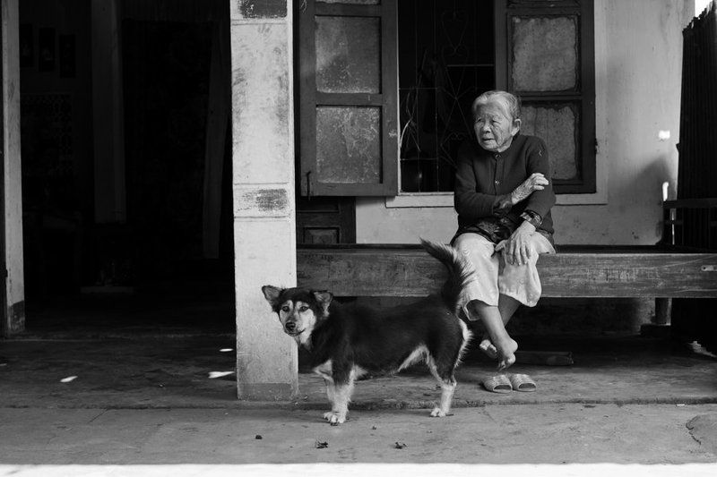 вьетнам с верным другомphoto preview