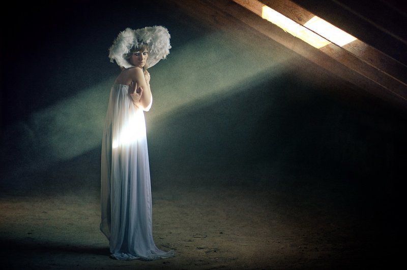 White Birdphoto preview