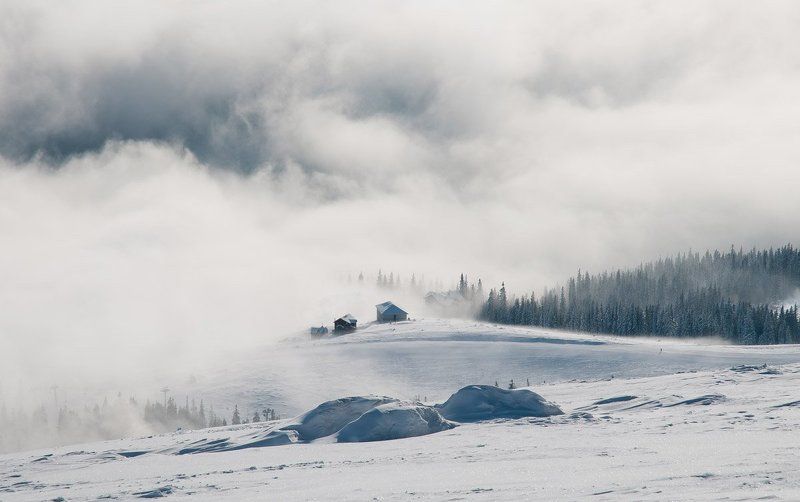 Туманное утро в Карпатахphoto preview