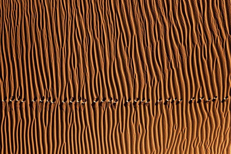 Footprintphoto preview