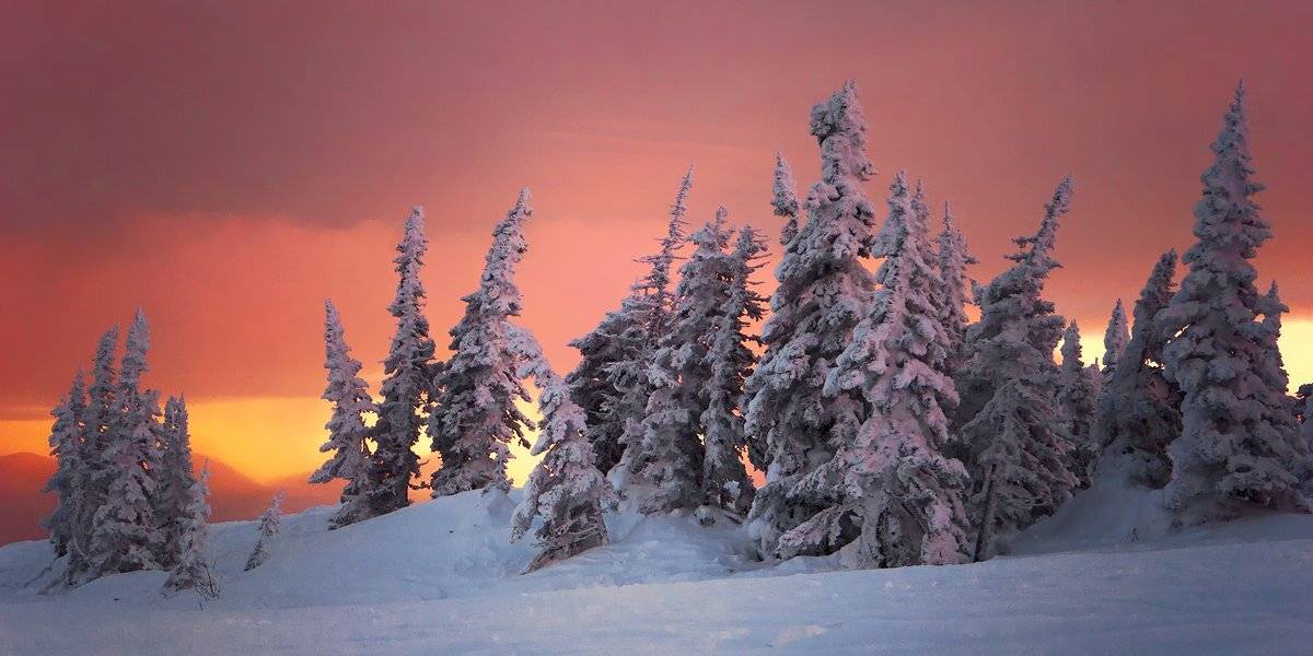 шерегеш, гора зеленая, вечер, пихты, свет, тени, краски, горная шория, Валерий Пешков