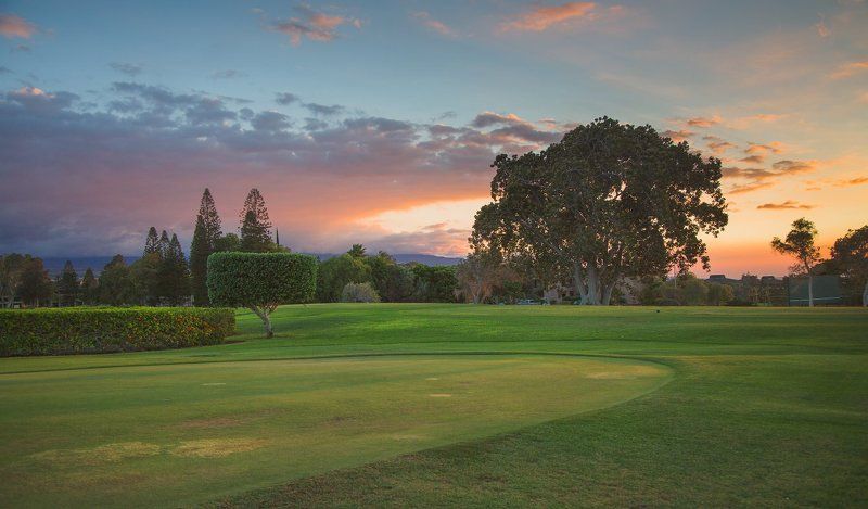 А не махнуть ли нам на Гавайи поиграть в гольф?photo preview