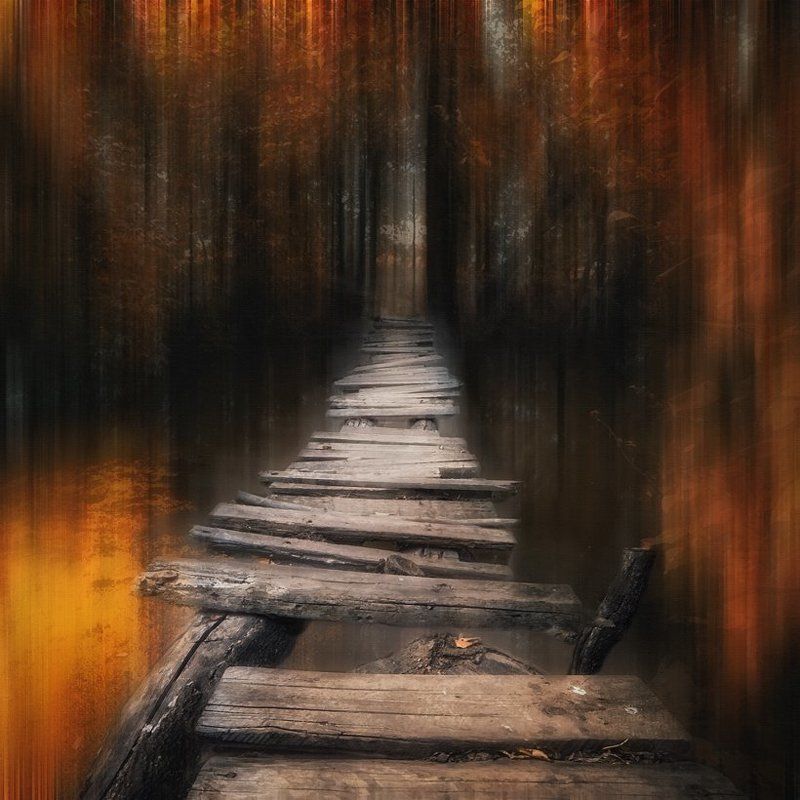 Переходphoto preview